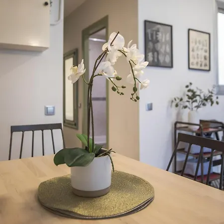 31ent1027 - Mediterranean Decorated Apartment Barcelona